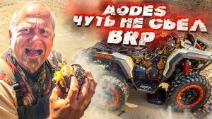 Aodes чуть не съел BRP