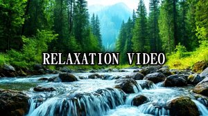 RELAXATION VIDEO