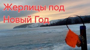 Рыбалка на Жерлицы под Новый 2025-й Год!