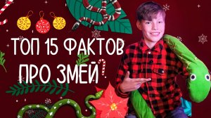 ТОП 15 ФАКТОВ ПРО ЗМЕЙ