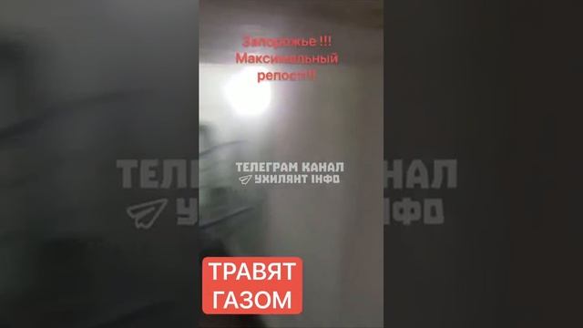 🇺🇦🏴☠️В запорожском военкомате мужчины забаррикадировались и держат оборону, а ТЦКшники травят...