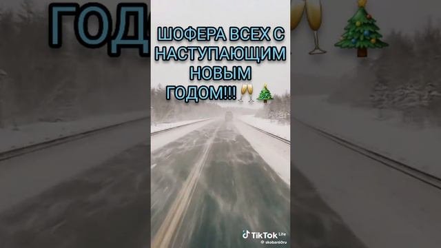 новогодняя