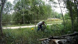 Зарос Участок Кустарником - Вырубаю Мачете - 2018