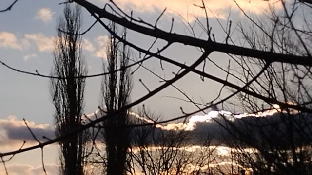 1000038882.mp4