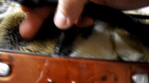 Обзор. Клавиатура A4 TECH KX 6MU