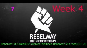 Rebelway VEX wee4 07_custom_bindings-Rebelway VEX wee4 07_cu