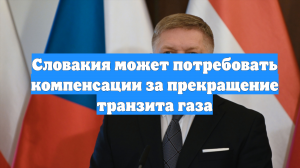 Словакия может потребовать компенсации за прекращение транзита газа