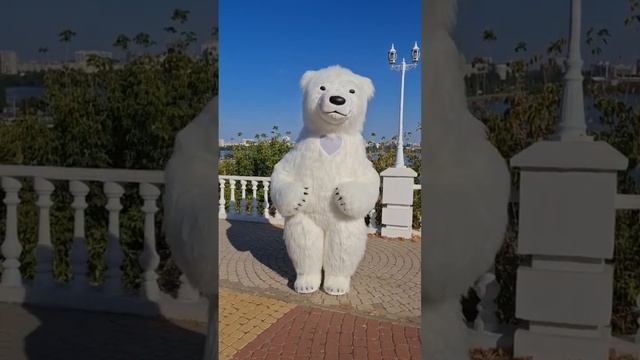 Мишка-Топтышка танцует. КОСТЮМ В НАЛИЧИИ.