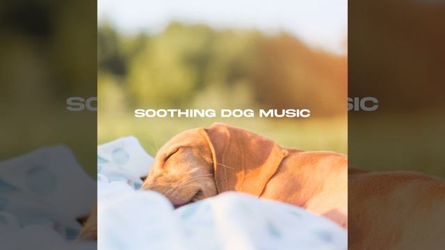 Pet Care, Pt. 39 смотреть онлайн