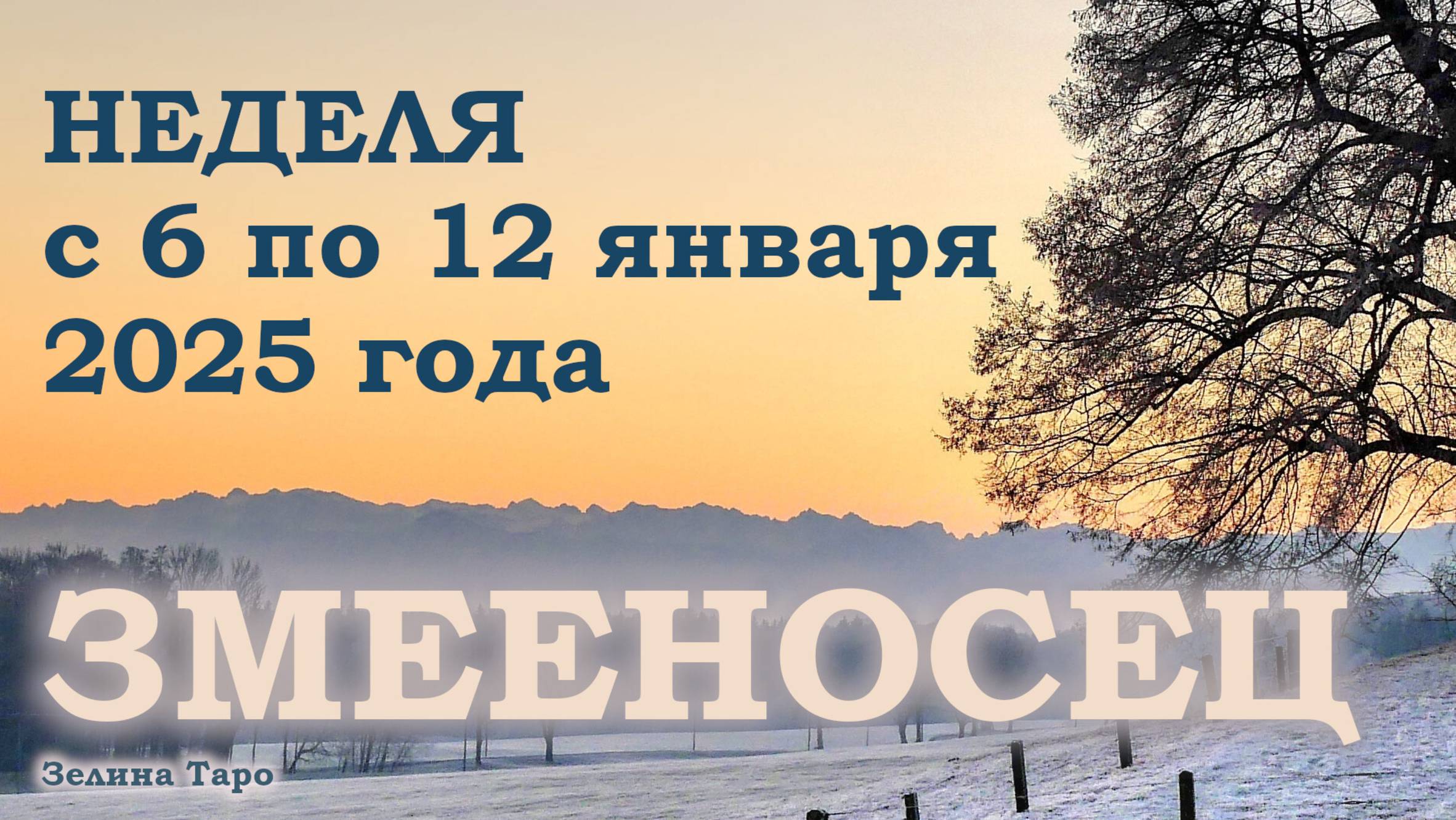 ЗМЕЕНОСЕЦ | ТАРО прогноз на неделю с 6 по 12 января 2025 года