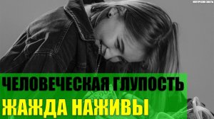 Что такое человеческая глупость и жажда наживы?