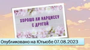 Хорошо ли нарциссу с другой (07.08.2023)