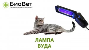 Лампа Вуда