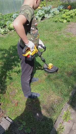 обзор триммера