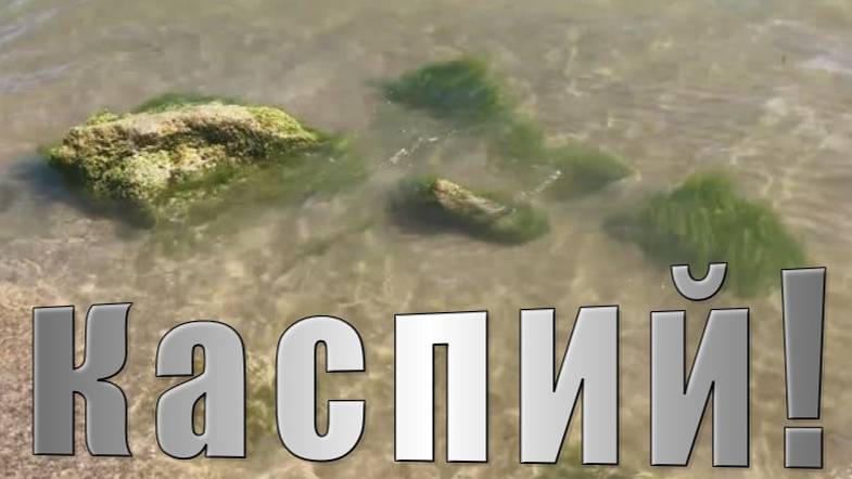 Доброе утро море солнце. В городе Каспийск лето в разгаре.