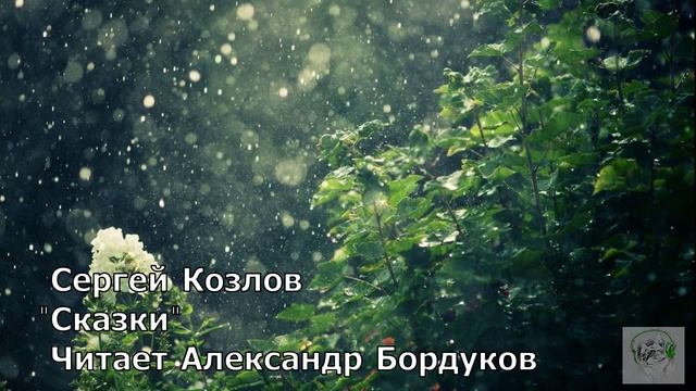 Сказки С.Козлова. Куня