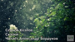 Сказки С.Козлова. Куня