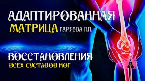 Матрица для восстановление всех суставов ног 🌀 Адаптированная матрица  ☀️ SoftRadio.ru