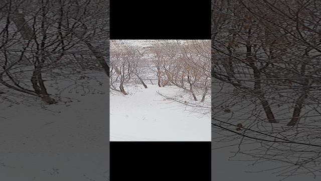 06.01.2025
