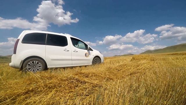 Ильсия Бадретдинова - Ике урман арасы