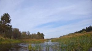 Нахлыстовая осень На Мологе Часть 10