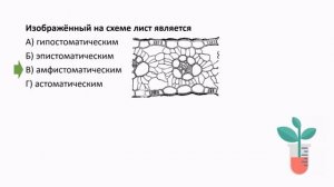 Биология. 1 урок. Подготовка к муниципальному этапу ВсОШ. 9-11 класс.