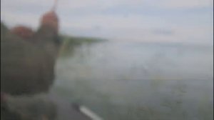 За тридевять морей! Озеро САРТЛАН и ОБСКОЕ водохранилище!!! г. Новосибирск