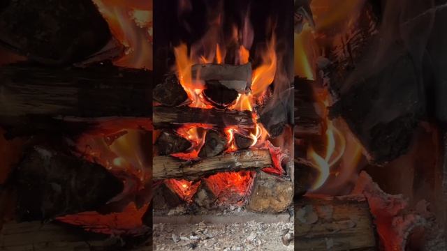 Привет, бабуль! Сырые и сухие дрова в печи #shorts