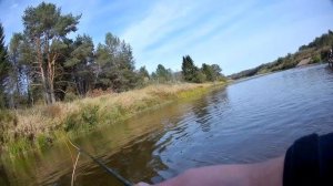 Нахлыстовая осень На Мологе Часть 5