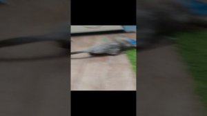 06-01-2025