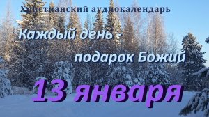 13 января " Нас врачующее дерево ", христианский  аудио-календарь на каждый день