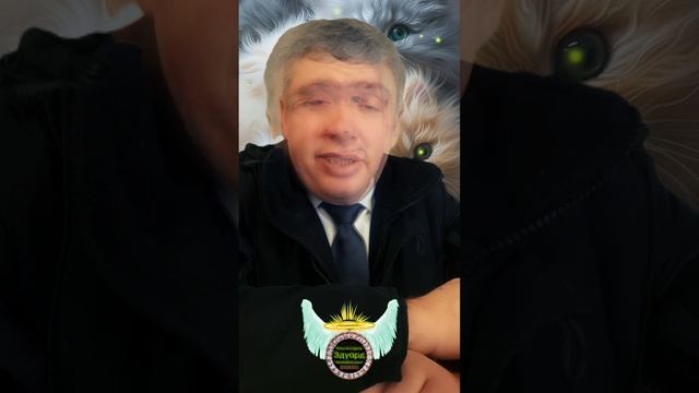 🐈 Котенок хочет любви. Комиссаров Эдуард Михайлович - Цитаты про кошек. #кошкиищутдом