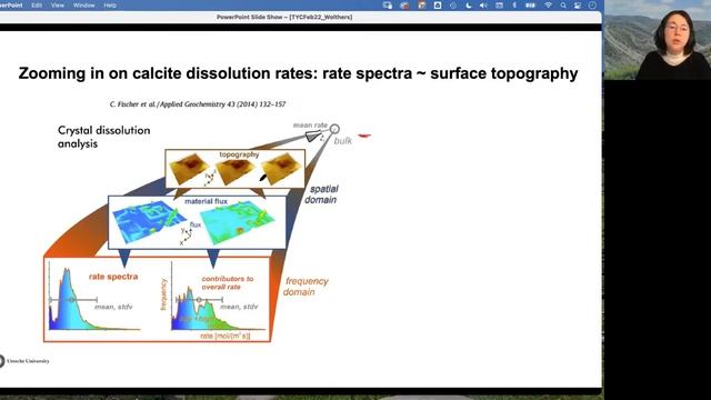 TYC Soiree: Modelling mineralization process 24 February 2022 смотреть онлайн