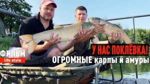 У нас поклёвка! Ловим больших карпов и амуров на "Стадионе".