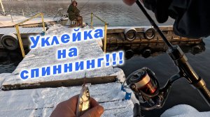 РЫБАЛКА ШАГОВОЙ ДОСТУПНОСТИ ИЛИ ОЗДОРОВИТЕЛЬНАЯ РЫБАЛКА!!!