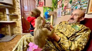 Маня, Степа и Тося пытаются пробиться к попугаям, которых успокаивает мама за закрытой дверью)