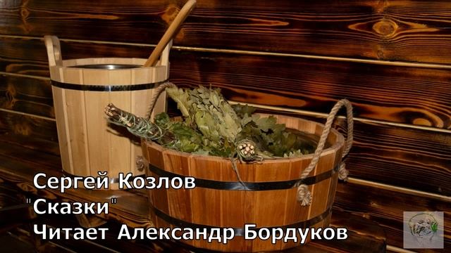 Сказки С.Козлова. Соленые ножки