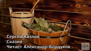 Сказки С.Козлова. Соленые ножки