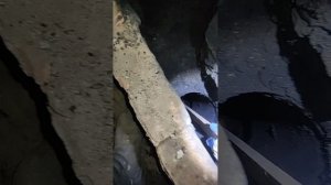 прочистил ей дымоход