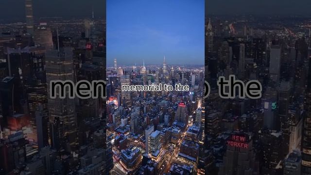 quick survey смотреть онлайн