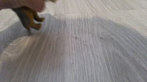 1000001184.mp4