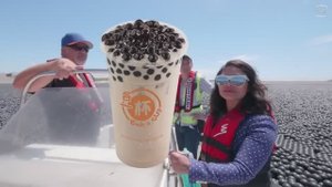 Зачем шарики в водохранилище