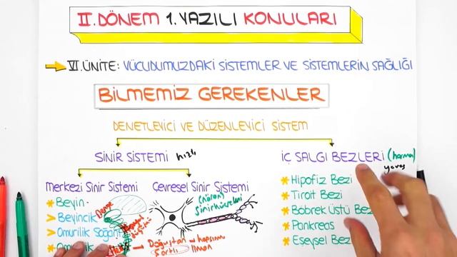6. Sınıf Fen 2. Dönem 1. Yazılı | 2020 смотреть онлайн