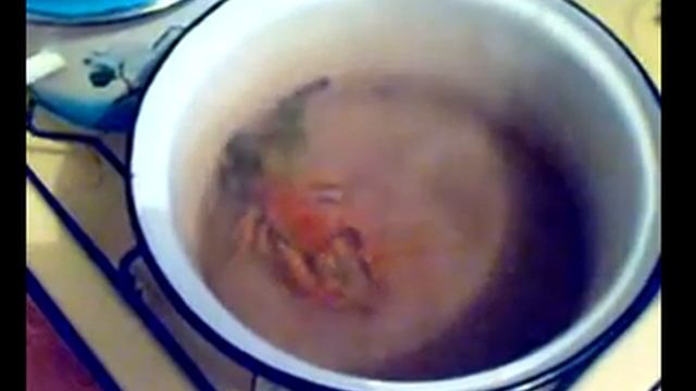 варёный! смотреть онлайн