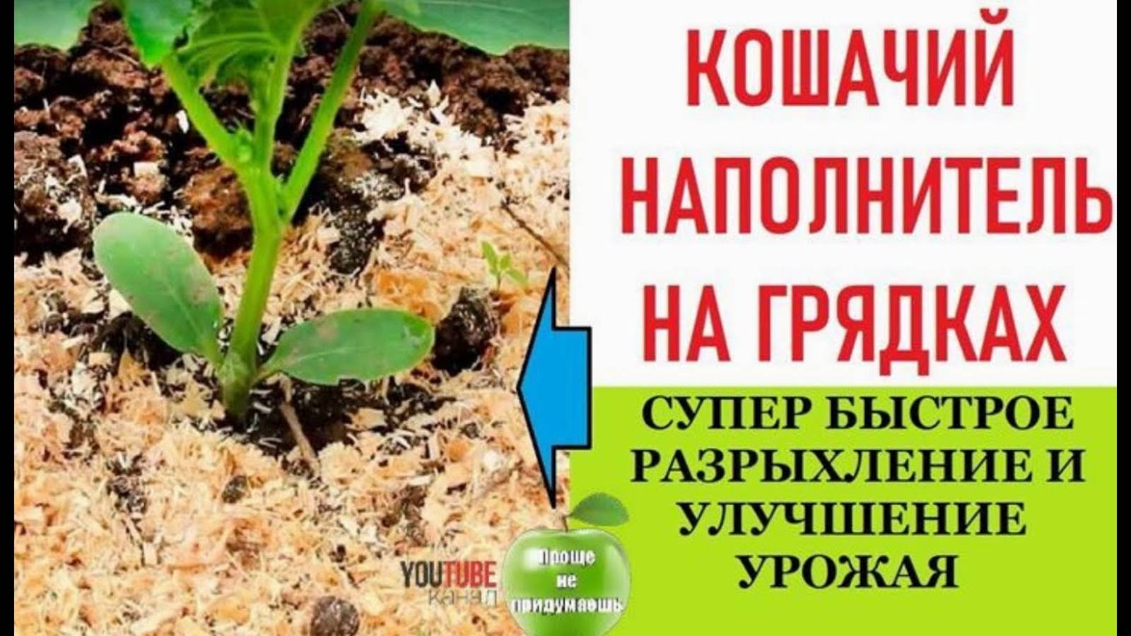 Кошачий наполнитель на грядках заметно улучшит урожай