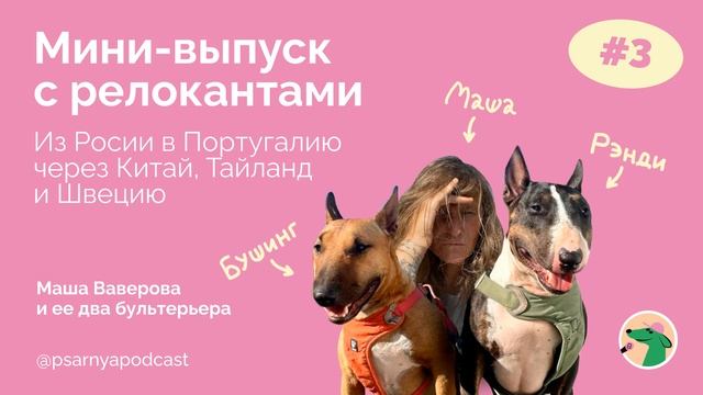 Мини-выпуск с релокантами. Маша Ваверова #подкаст #собаки #путешествия #dogs #travel #podcast
