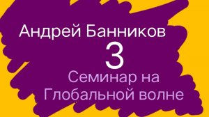 Русская тайна Библии - Андрей Банников - Ярослав Старухин - Глобальная волна. 
3ий семинар.