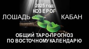 ОБЩИЙ ТАРО-ПРОГНОЗ НА 2025 ГОД ПО ВОСТОЧНОМУ КАЛЕНДАРЮ. КОЗЕРОГ (ЛОШАДЬ-КАБАН)