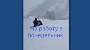 Где заказать уборку и вывоз снега?