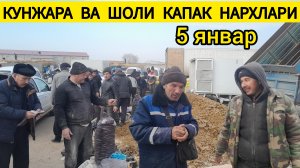 ХАЗОРАСПДА КУНЖАРА ВА ШОЛИ КАПАК ЯНГИ НАРХЛАРИ 05.01.2025Г